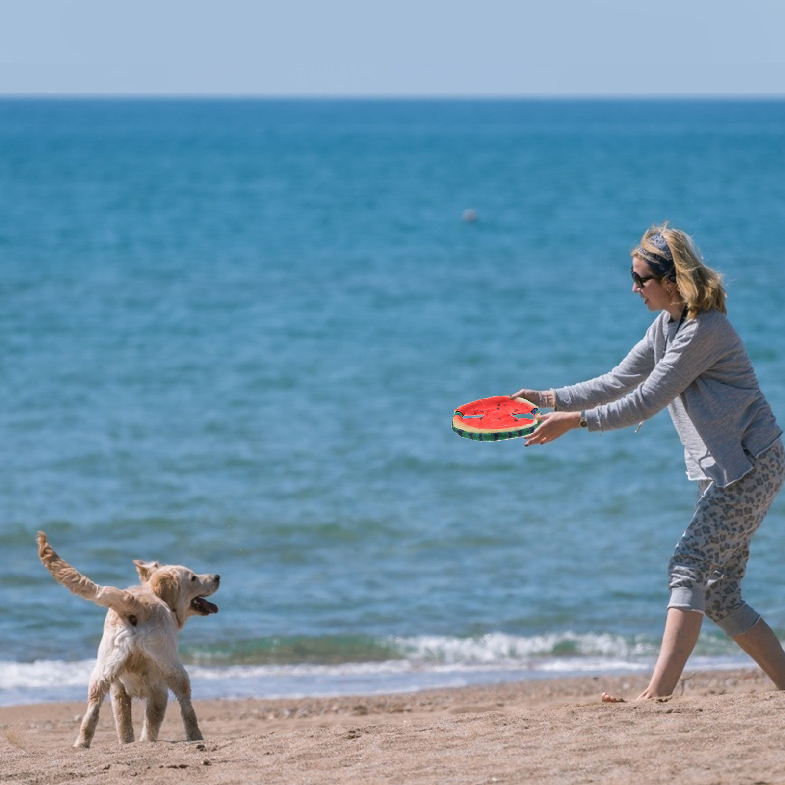 Flying Disc Dog Training Toy - 1 шт. Летающий диск в форме