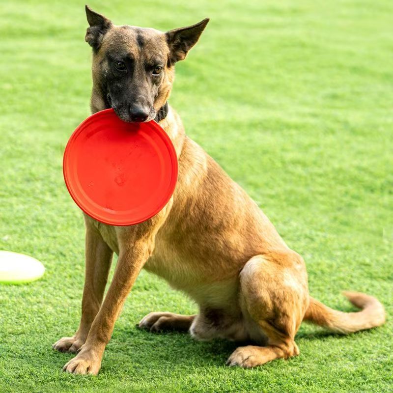 Прочный пластиковый фрисби для – обзор и цена Flying Disc Dog Training Toy