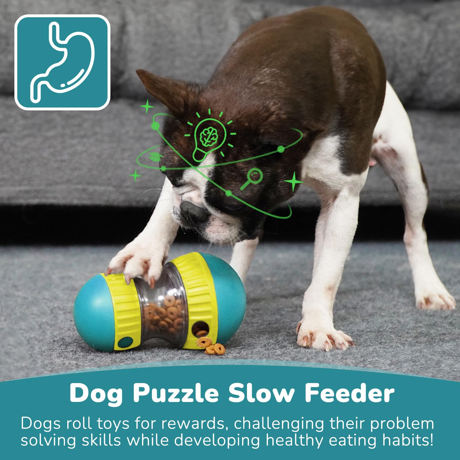 Игрушки для собак и регулируем – обзор и цена Dog Puzzle Feeder Toy