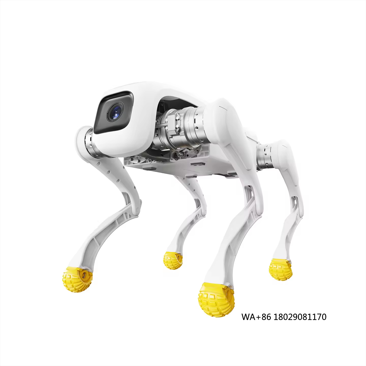 Дизайнерский робот-собака AI Э – обзор и цена Dog Toys