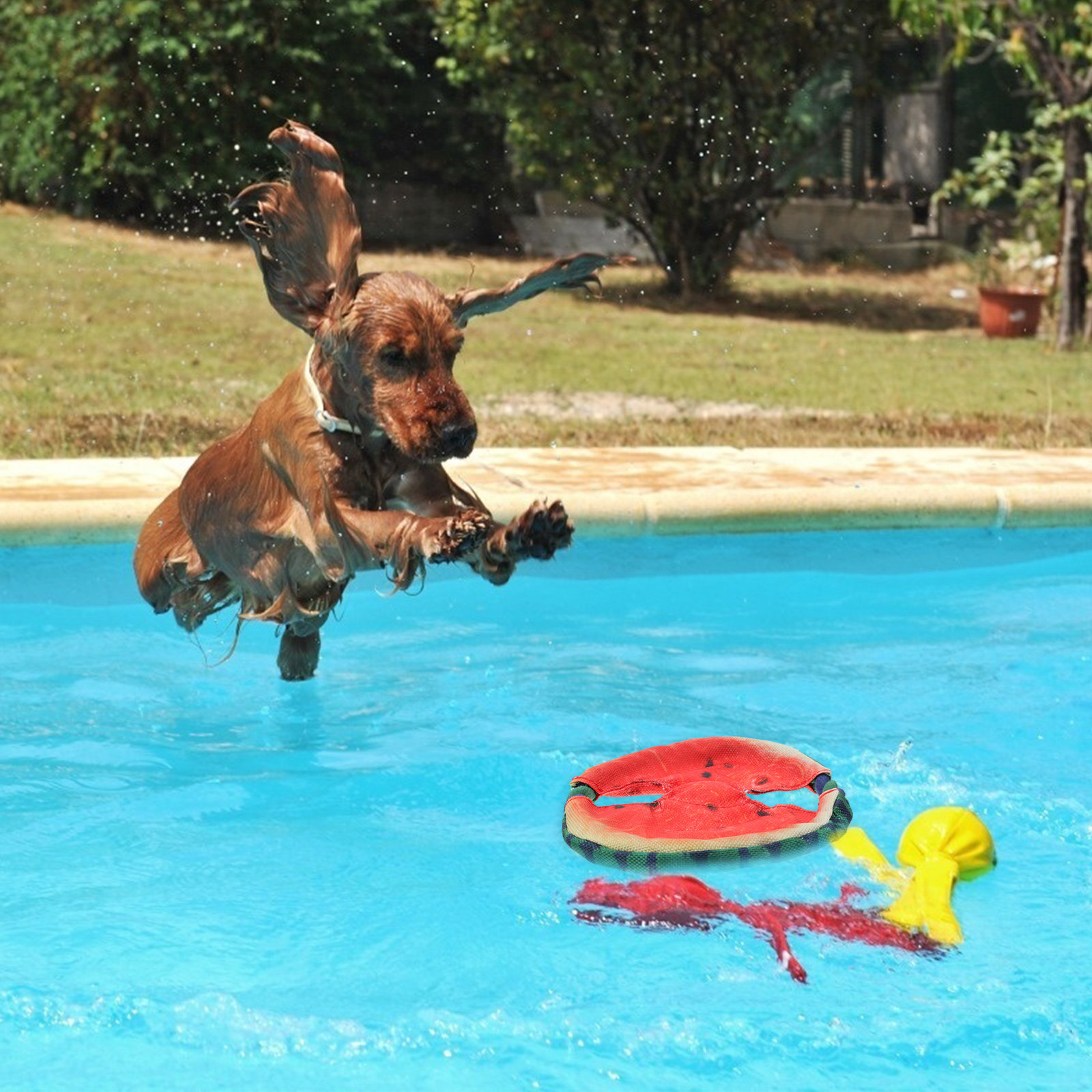 1 шт. Летающий диск в форме ар – обзор и цена Flying Disc Dog Training Toy