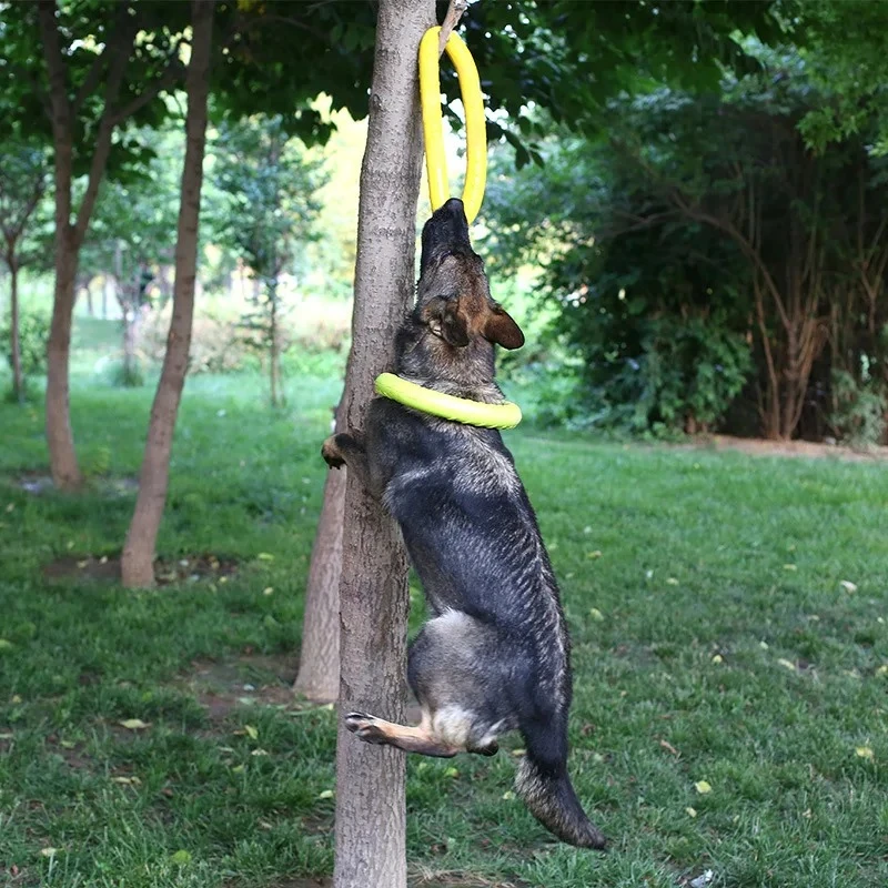 Игрушки для собак, летающие ди – обзор и цена Suction Cup Dog Tug Toy