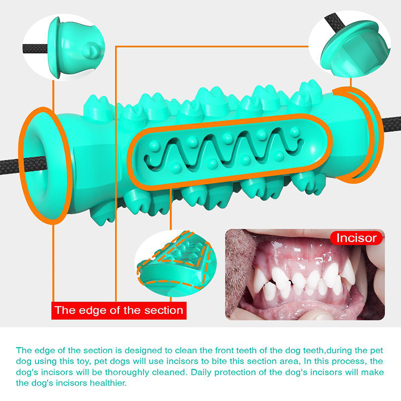 Игрушка для собак с двойными п – обзор и цена Suction Cup Dog Tug Toy