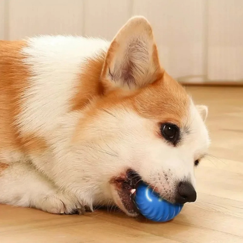 Автоматический движущийся мяч- – обзор и цена Automatic Moving Dog Ball