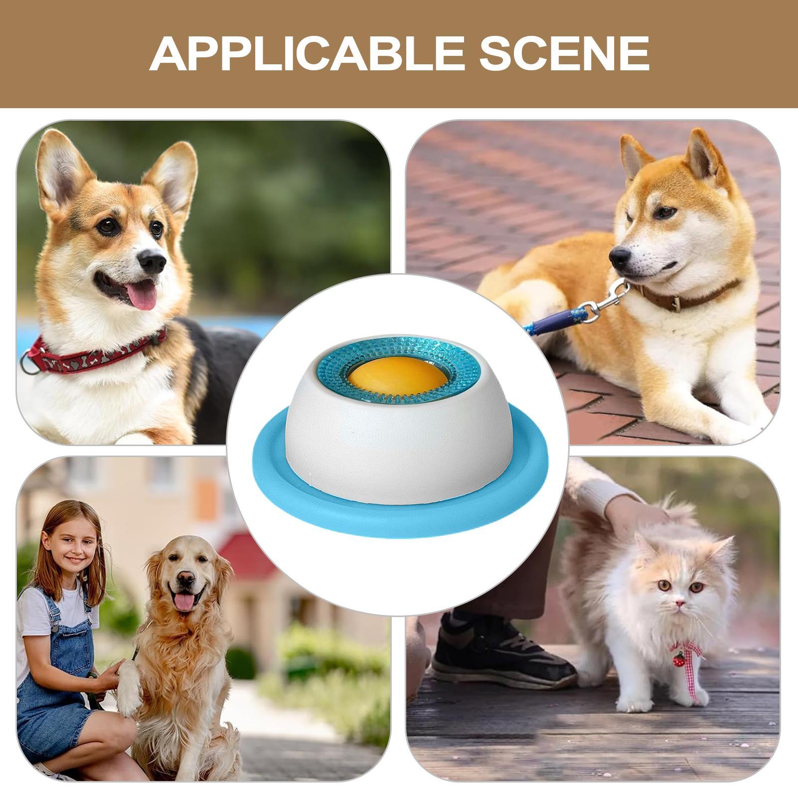 Игрушка-головоломка для собак: – обзор и цена Dog Puzzle Feeder Toy
